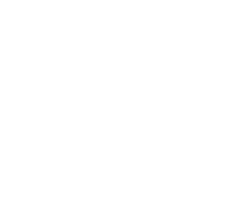 France 2030 Logo